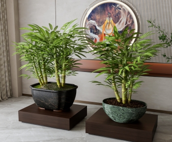 New Chinese Style Ground Green Plant Potted Plants-ID:540781028