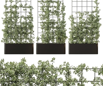现代花坛 植物架3D模型