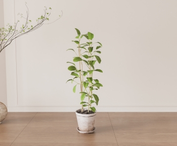 Modern Ground Green Plant Potted Plants-ID:911288024
