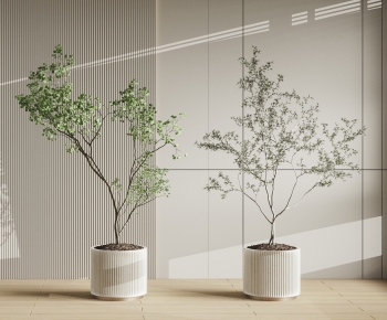 Modern Ground Green Plant Potted Plants-ID:591357955