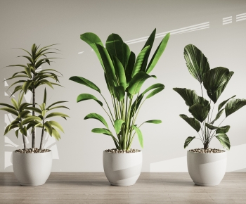 Modern Ground Green Plant Potted Plants-ID:403479101