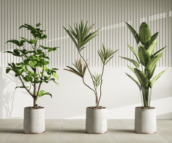 现代落地绿植盆栽组合3D模型