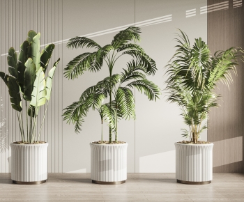 Modern Ground Green Plant Potted Plants-ID:169958118