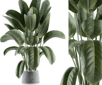 Modern Ground Green Plant Potted Plants-ID:376106023