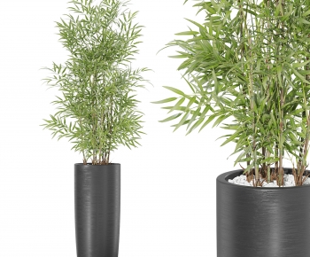 Modern Ground Green Plant Potted Plants-ID:929387091