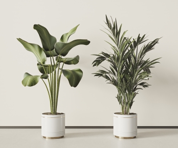 Modern Ground Green Plant Potted Plants-ID:646292928