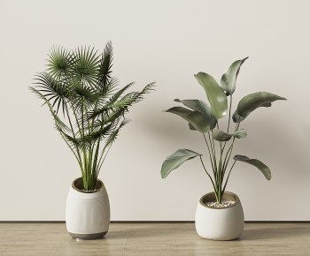 Modern Ground Green Plant Potted Plants-ID:876140633