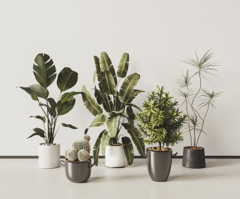 Modern Ground Green Plant Potted Plants-ID:629271987