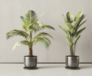 Modern Ground Green Plant Potted Plants-ID:198086981