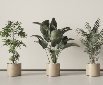 Modern Ground Green Plant Potted Plants-ID:739685061