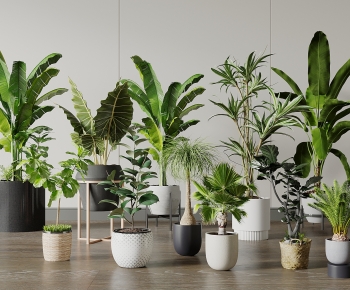Modern Ground Green Plant Potted Plants-ID:131779913
