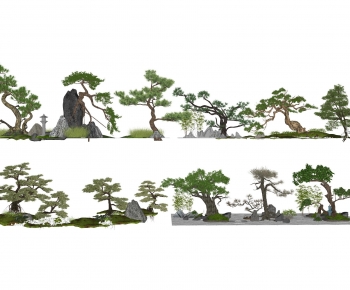 现代罗汉松造型树-ID:250099903