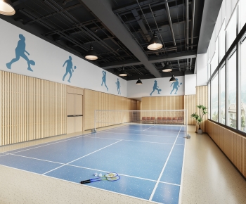 Modern Indoor Badminton Court-ID:324110032