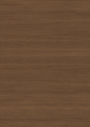 ModernWood Texture