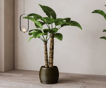 Modern Ground Green Plant Potted Plants-ID:466325047