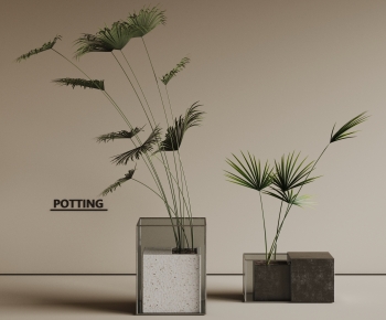Modern Ground Green Plant Potted Plants-ID:753045081