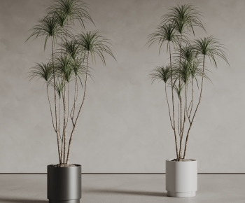 Modern Ground Green Plant Potted Plants-ID:298957115