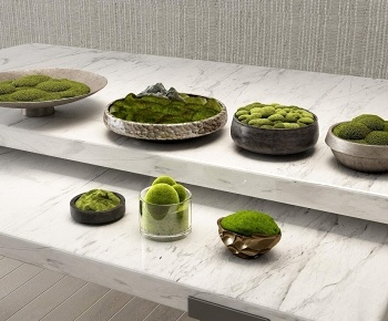 现代桌面苔藓绿植盆栽3D模型