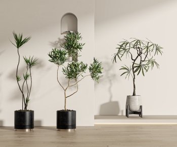 Modern Ground Green Plant Potted Plants-ID:238537078