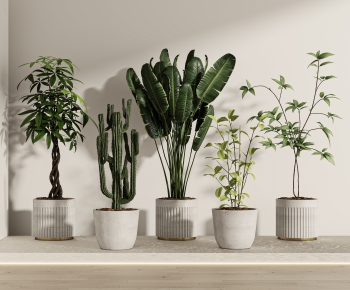 Modern Ground Green Plant Potted Plants-ID:288649088