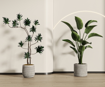 Modern Ground Green Plant Potted Plants-ID:708653934