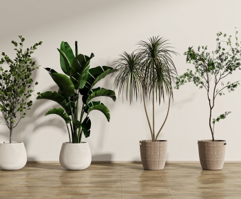 Modern Ground Green Plant Potted Plants-ID:316742908