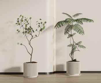 Modern Ground Green Plant Potted Plants-ID:254558092