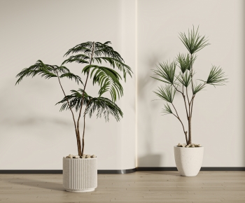 Modern Ground Green Plant Potted Plants-ID:620033037