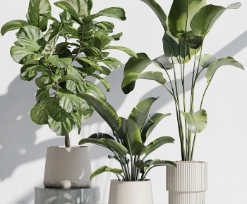 Modern Ground Green Plant Potted Plants-ID:147861969