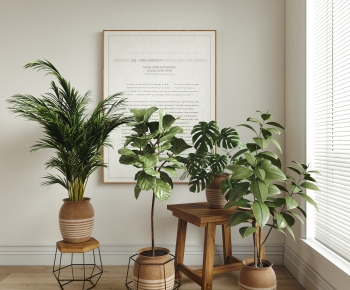 Modern Ground Green Plant Potted Plants-ID:884855997