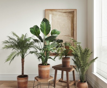Modern Ground Green Plant Potted Plants-ID:899426946