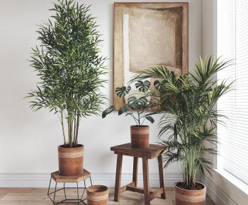 Modern Ground Green Plant Potted Plants-ID:609234094