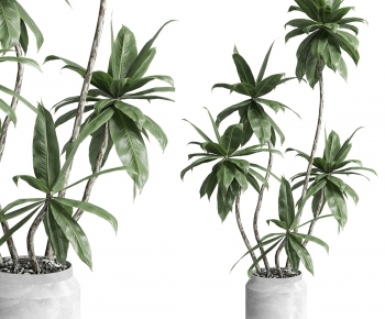 Modern Ground Green Plant Potted Plants-ID:792704115