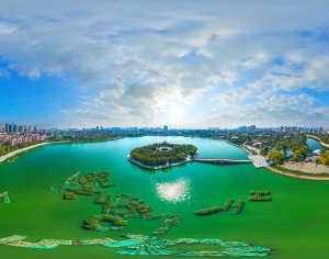 白天城市生态绿化全景HDR-ID:280186892
