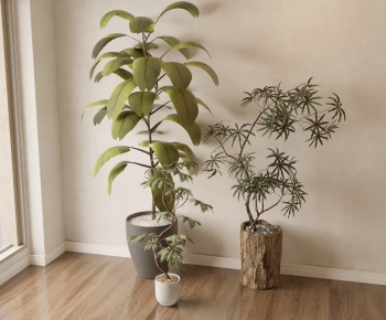 Modern Ground Green Plant Potted Plants-ID:599087004