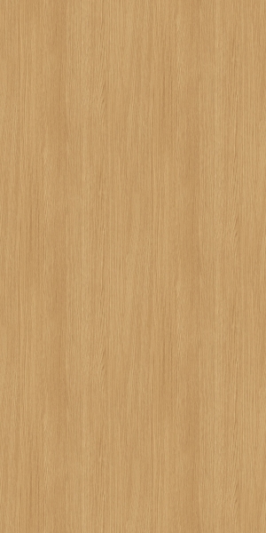 ModernWood Texture