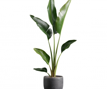 Modern Ground Green Plant Potted Plants-ID:407890084