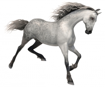 Modern Animal Horse-ID:967716937
