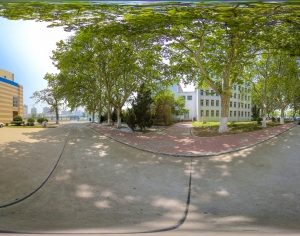 绿茵树林全景HDR-ID:246149063