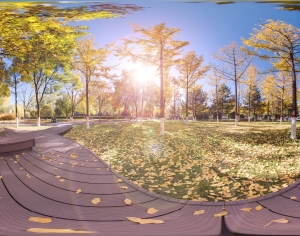 秋季树林休闲公园全景HDR-ID:158606055