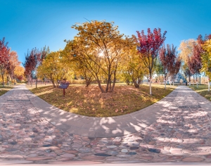 秋季树林休闲公园全景HDR-ID:826287039