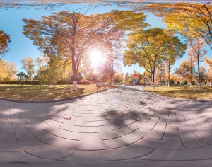 秋季树林休闲公园全景HDR-ID:106997011