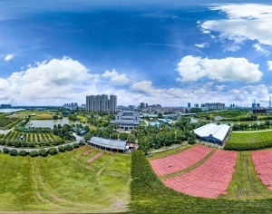 白天城市郊外风景全景HDR-ID:5934812