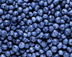 蓝莓水果-ID:5934976