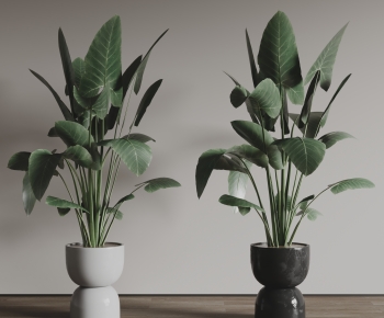 Modern Ground Green Plant Potted Plants-ID:717422012