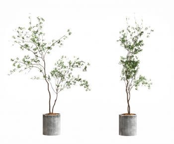 Modern Ground Green Plant Potted Plants-ID:968875896