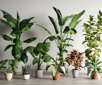 Modern Ground Green Plant Potted Plants-ID:717597013