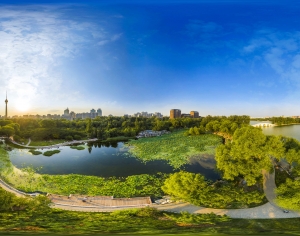 白天城市生态绿化全景HDR-ID:266108041