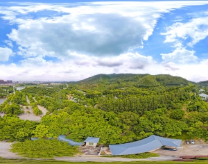 白天生态绿化全景HDR-ID:901150785