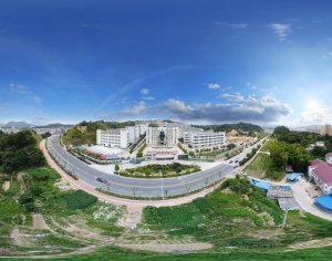 白天城市生态绿化全景HDR-ID:935113912